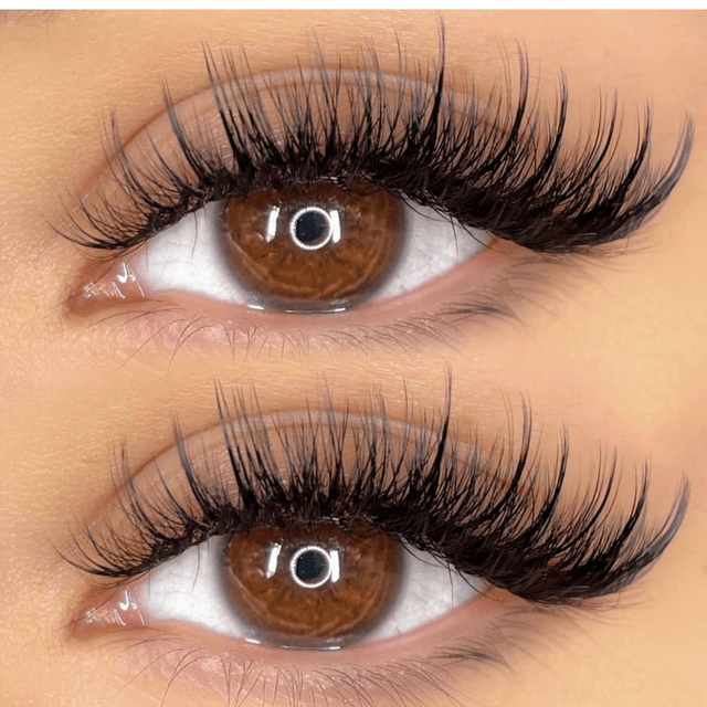 Winked With Lex Lash Membership at winkedwithlex in Santa Clara, CA