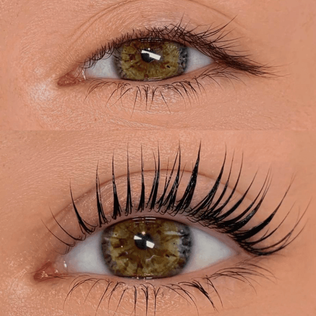 lash membership at winkedwithlex in Santa Clara, CA